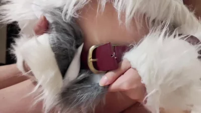 情侣优质单男dd